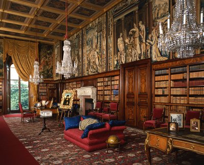 View of the Library by George E. Fox